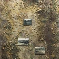 Quarry, Moel Fferna 2, 33” x 45”,
Paint and plaster on plywood, roots and dried organic material, photographs