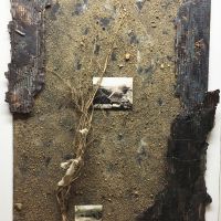 Quarry, Moel Fferna 5, 34” x 44”,
Paint on plywood, sand and gravel, roots,
torn cloth, corrugated cardboard, photographs.